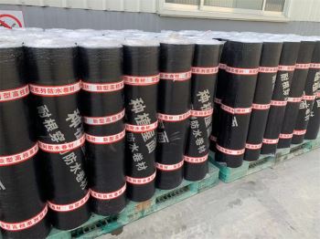 耐根穿刺改性沥青防水卷材